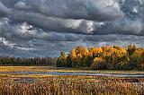 Autumn Along Irish Creek_23104